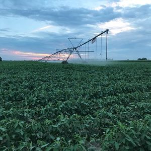 Meet your Posher, Hailey